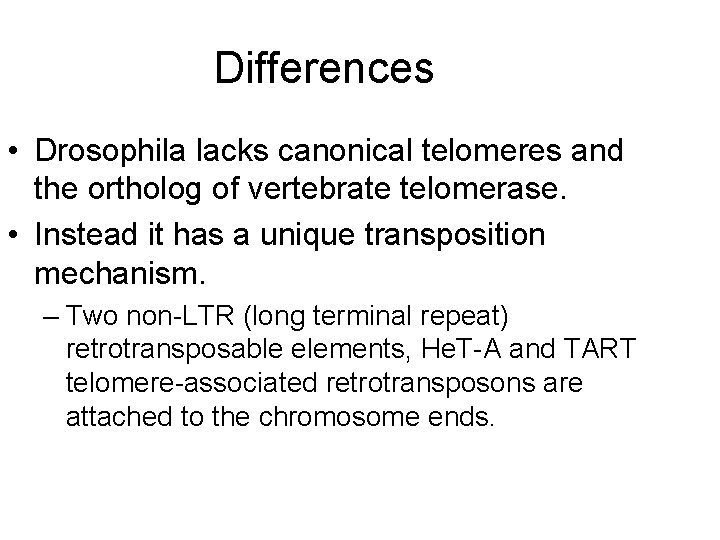 Differences • Drosophila lacks canonical telomeres and the ortholog of vertebrate telomerase. • Instead