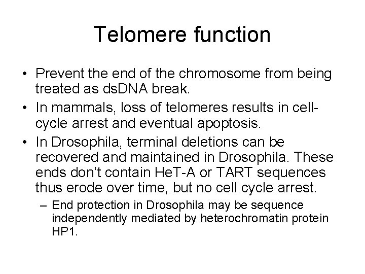 Telomere function • Prevent the end of the chromosome from being treated as ds.