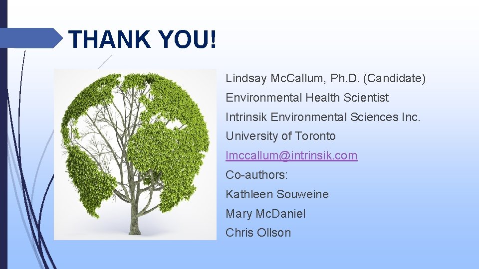 THANK YOU! Lindsay Mc. Callum, Ph. D. (Candidate) Environmental Health Scientist Intrinsik Environmental Sciences