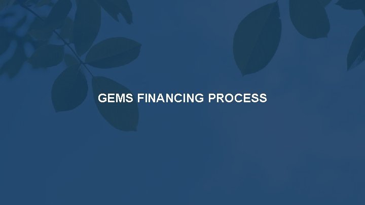 GEMS FINANCING PROCESS 