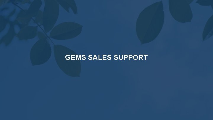 GEMS SALES SUPPORT 