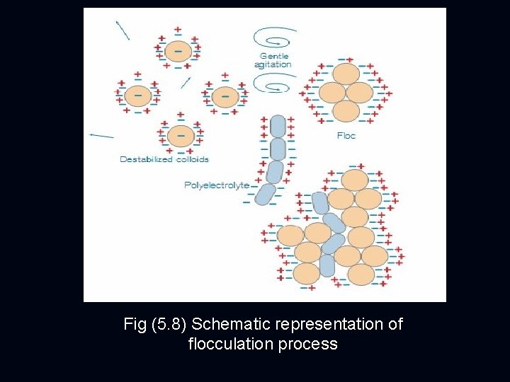 Fig (5. 8) Schematic representation of flocculation process 