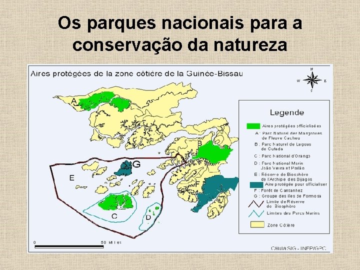 Os parques nacionais para a conservação da natureza 