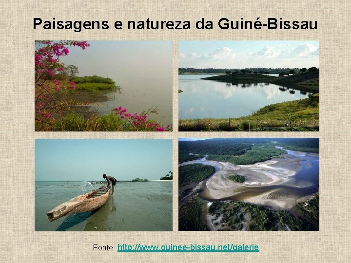 Paisagens e natureza da Guiné-Bissau Fonte: http: //www. guinee-bissau. net/galerie 