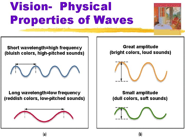 Vision- Physical Properties of Waves Short wavelength=high frequency (bluish colors, high-pitched sounds) Great amplitude Vision- Physical Properties of Waves Short wavelength=high frequency (bluish colors, high-pitched sounds) Great amplitude