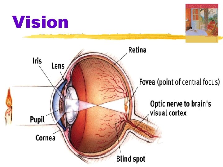 Vision Vision