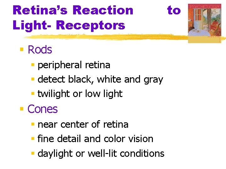 Retina’s Reaction Light- Receptors § Rods § peripheral retina § detect black, white and Retina’s Reaction Light- Receptors § Rods § peripheral retina § detect black, white and