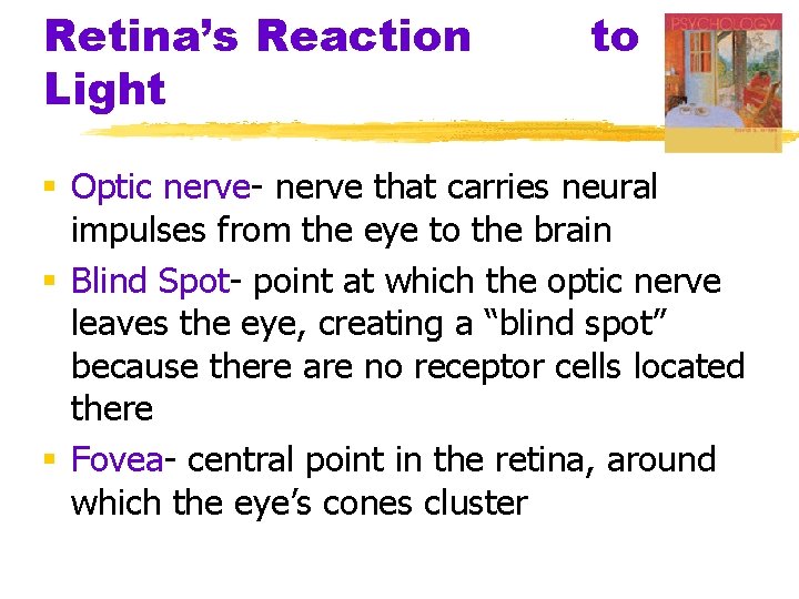 Retina’s Reaction Light to § Optic nerve- nerve that carries neural impulses from the Retina’s Reaction Light to § Optic nerve- nerve that carries neural impulses from the