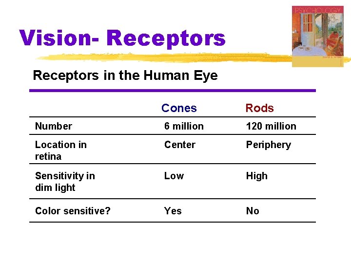 Vision- Receptors in the Human Eye Cones Rods Number 6 million 120 million Location Vision- Receptors in the Human Eye Cones Rods Number 6 million 120 million Location