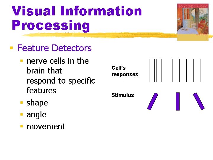 Visual Information Processing § Feature Detectors § nerve cells in the brain that respond Visual Information Processing § Feature Detectors § nerve cells in the brain that respond