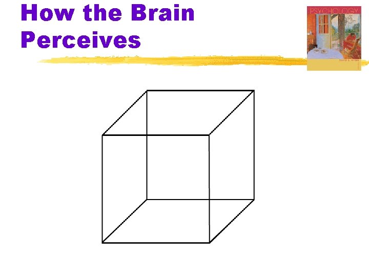 How the Brain Perceives How the Brain Perceives