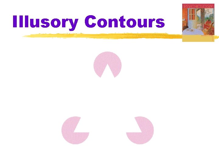 Illusory Contours Illusory Contours