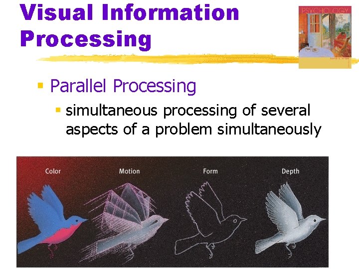 Visual Information Processing § Parallel Processing § simultaneous processing of several aspects of a Visual Information Processing § Parallel Processing § simultaneous processing of several aspects of a