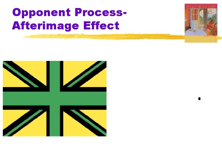 Opponent Process. Afterimage Effect Opponent Process. Afterimage Effect