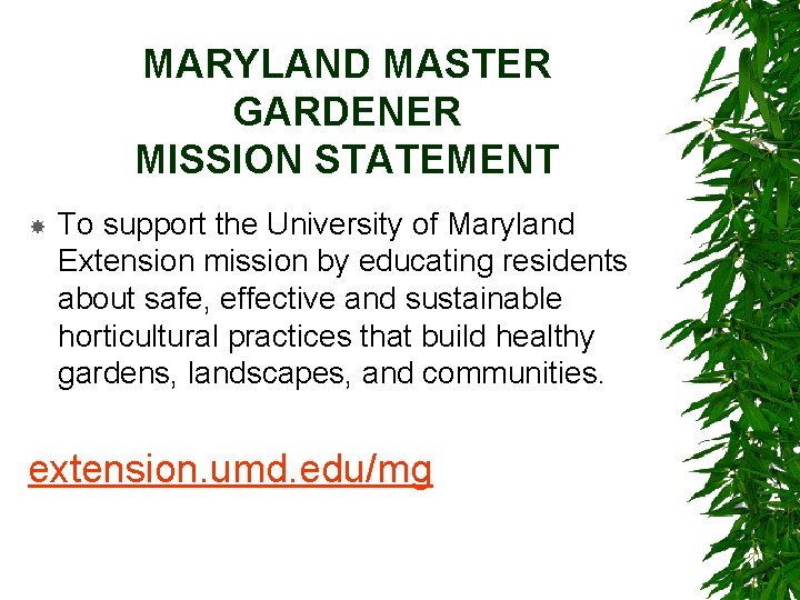 MARYLAND MASTER GARDENER MISSION STATEMENT To support the University of Maryland Extension mission by