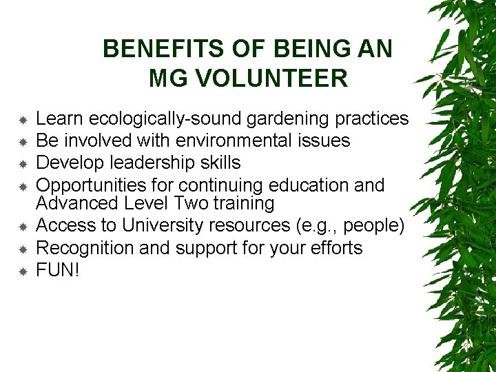 BENEFITS OF BEING AN MG VOLUNTEER Learn ecologically-sound gardening practices Be involved with environmental