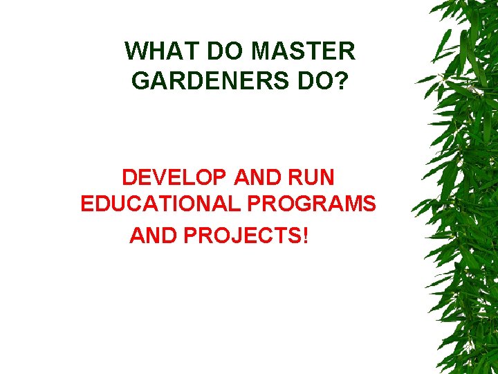 WHAT DO MASTER GARDENERS DO? DEVELOP AND RUN EDUCATIONAL PROGRAMS AND PROJECTS! 