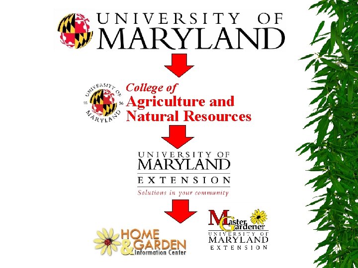 College of Agriculture and Natural Resources 