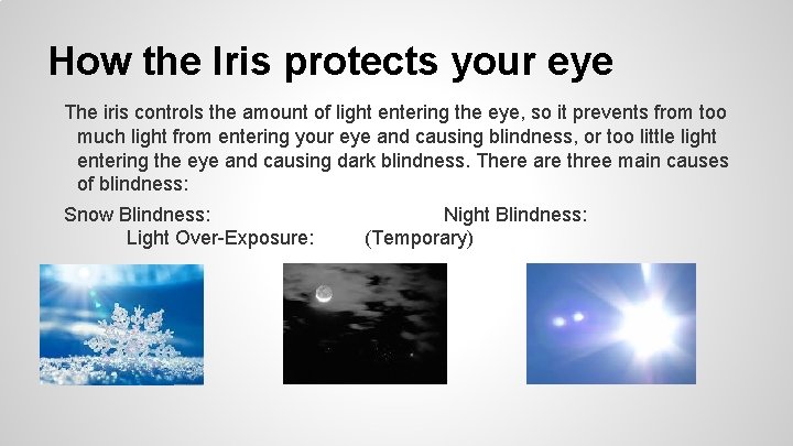 How the Iris protects your eye The iris controls the amount of light entering