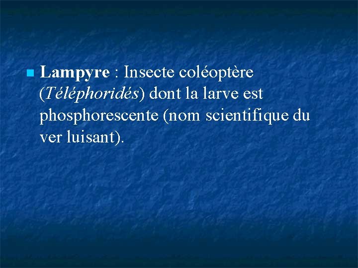  Lampyre : Insecte coléoptère (Téléphoridés) dont la larve est phosphorescente (nom scientifique du