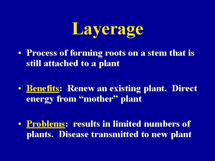 Layerage • Process of forming roots on a stem that is still attached to