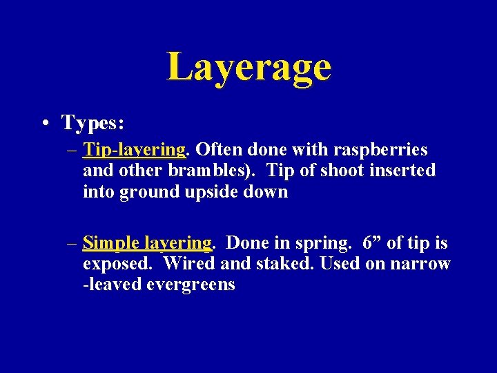 Layerage • Types: – Tip-layering. Often done with raspberries and other brambles). Tip of