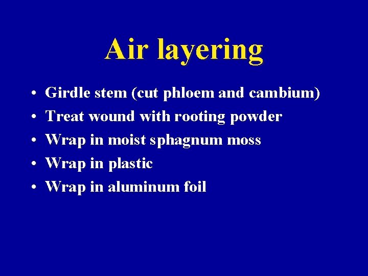 Air layering • • • Girdle stem (cut phloem and cambium) Treat wound with