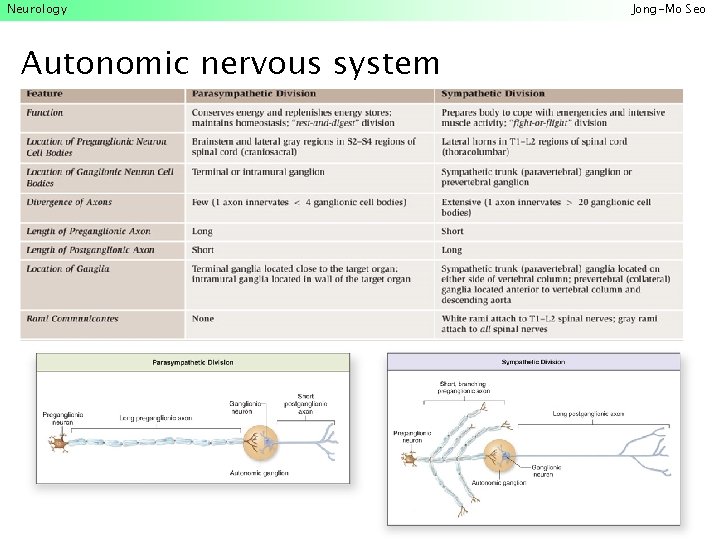 Neurology Autonomic nervous system Jong-Mo Seo 