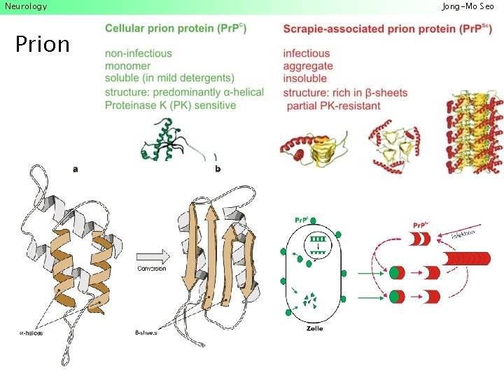 Neurology Prion Jong-Mo Seo 