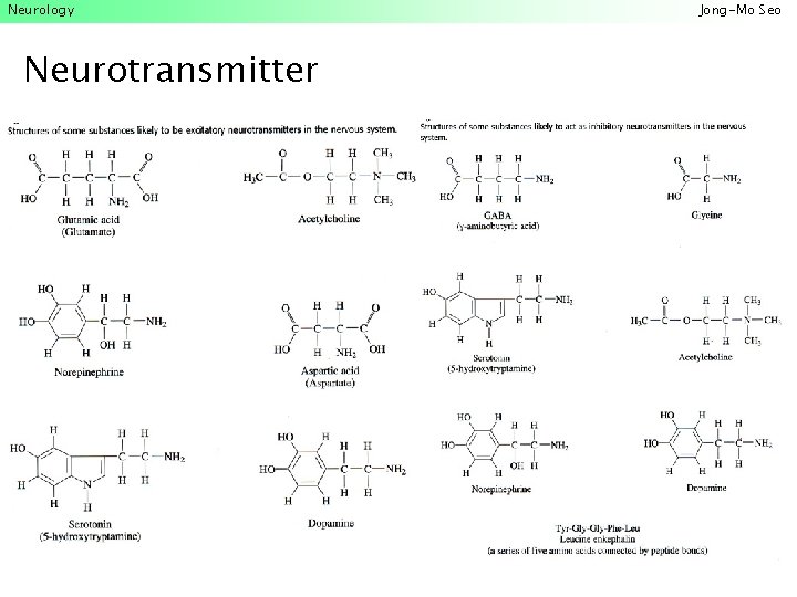 Neurology Neurotransmitter Jong-Mo Seo 