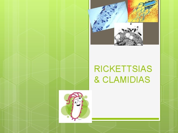RICKETTSIAS & CLAMIDIAS 