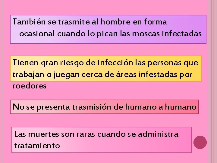 También se trasmite al hombre en forma ocasional cuando lo pican las moscas infectadas