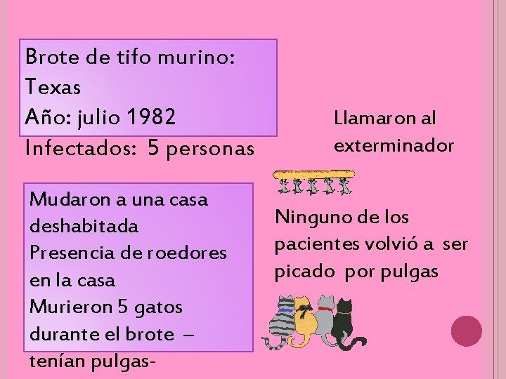 Brote de tifo murino: Texas Año: julio 1982 Infectados: 5 personas Mudaron a una