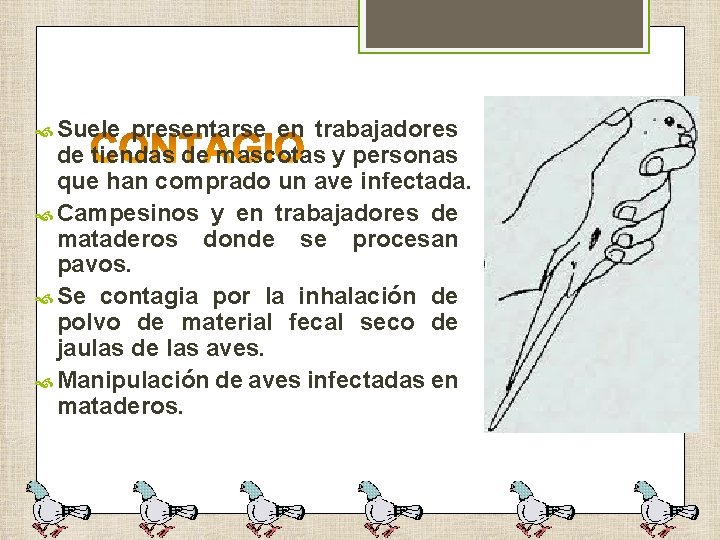  Suele presentarse en trabajadores de tiendas de mascotas y personas que han comprado