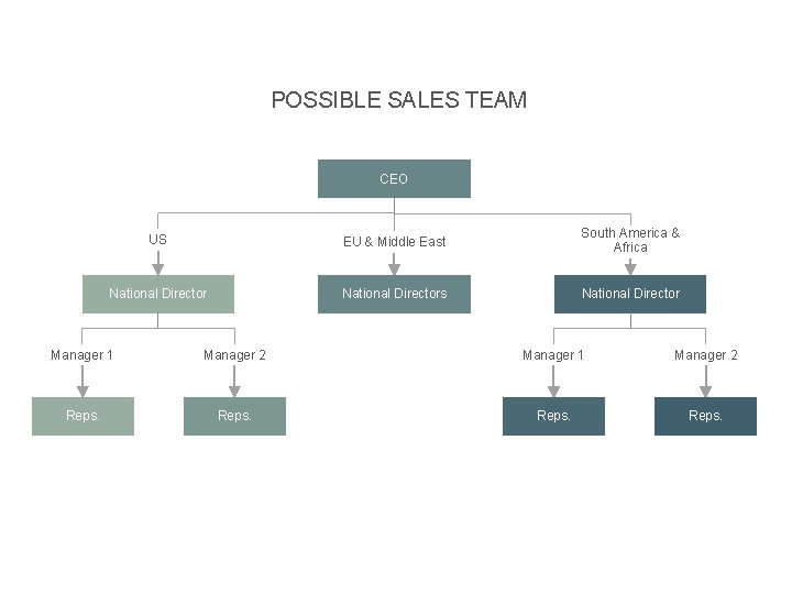 POSSIBLE SALES TEAM CEO US EU & Middle East South America & Africa National