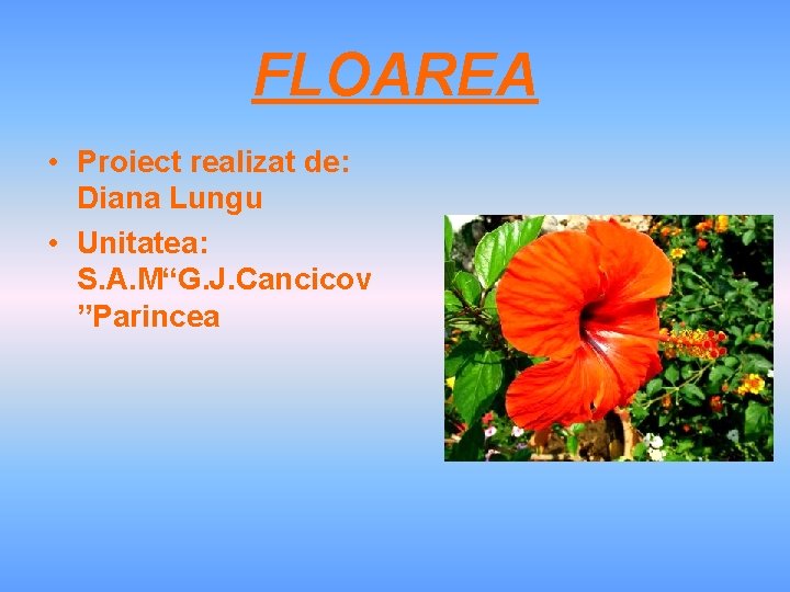 FLOAREA • Proiect realizat de: Diana Lungu • Unitatea: S. A. M“G. J. Cancicov