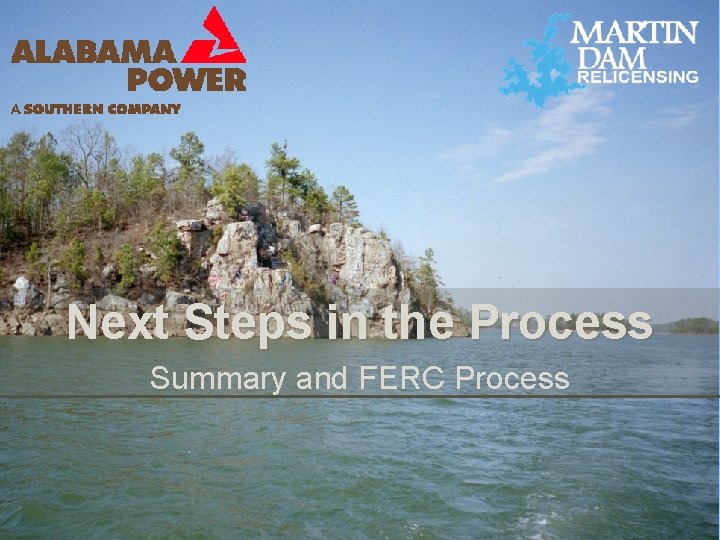 Next Steps in the Process Summary and FERC Process 