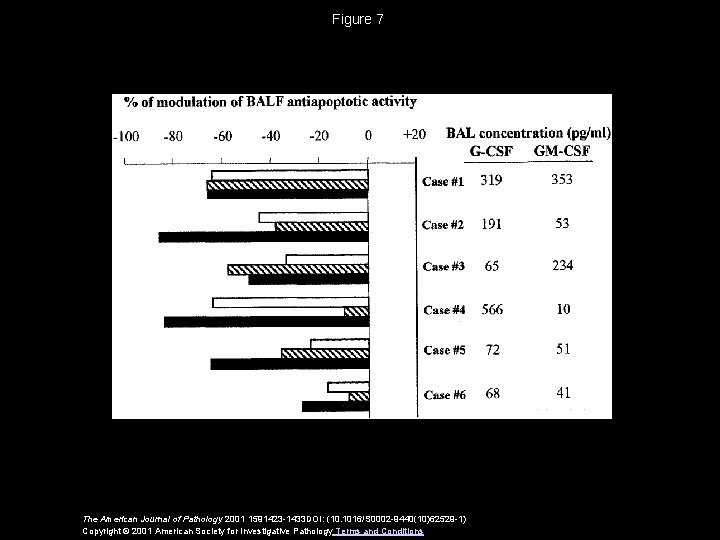 Figure 7 The American Journal of Pathology 2001 1591423 -1433 DOI: (10. 1016/S 0002