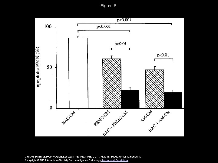 Figure 8 The American Journal of Pathology 2001 1591423 -1433 DOI: (10. 1016/S 0002