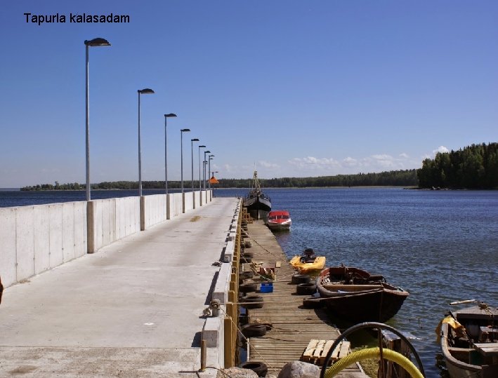 Tapurla kalasadam Näited eelmisest perioodist 