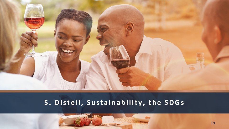 5. Distell, Sustainability, the SDGs 19 