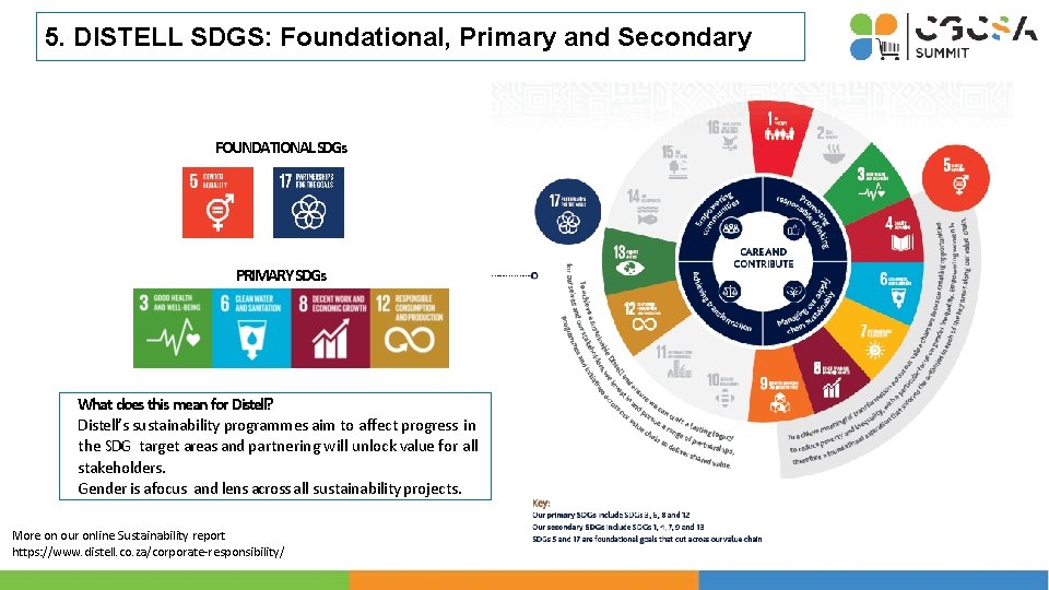 5. DISTELL SDGS: Foundational, Primary and Secondary FOUNDATIONAL SDGs PRIMARY SDGs What does this
