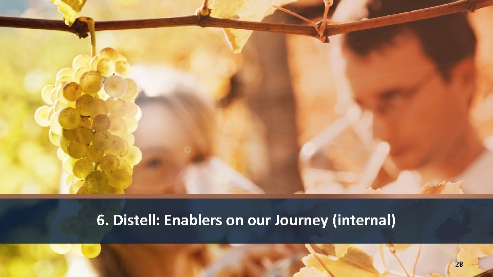 6. Distell: Enablers on our Journey (internal) 28 