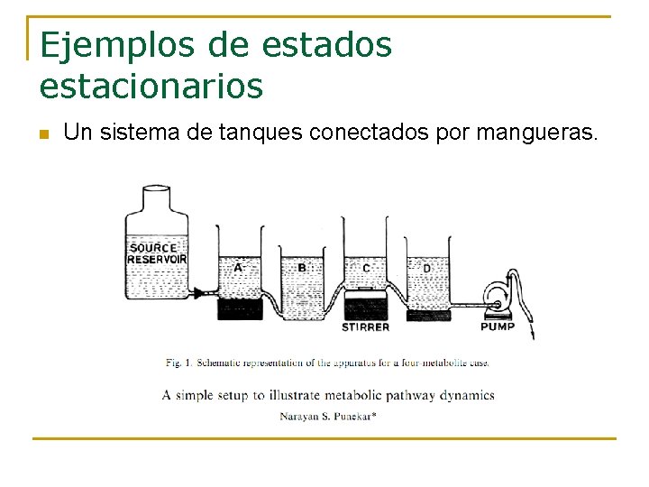 Ejemplos de estados estacionarios n Un sistema de tanques conectados por mangueras. Ejemplos de estados estacionarios n Un sistema de tanques conectados por mangueras.