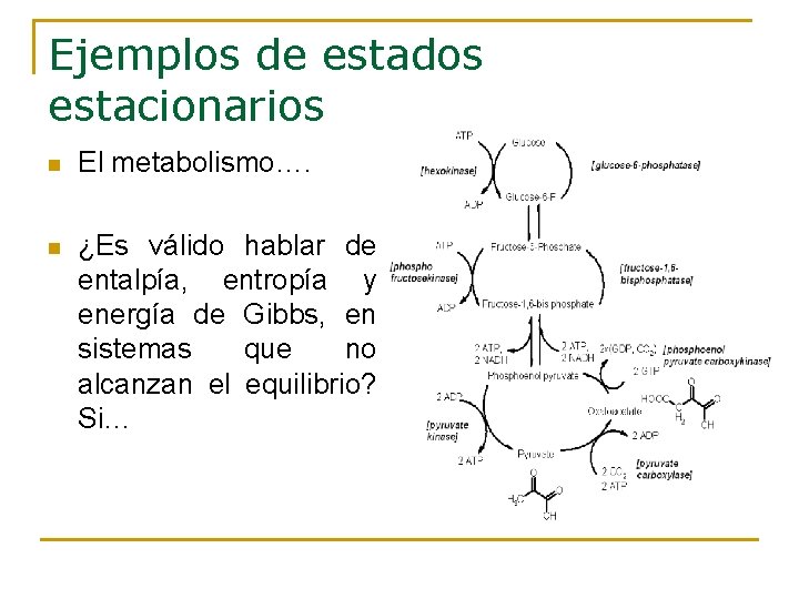 Ejemplos de estados estacionarios n El metabolismo…. n ¿Es válido hablar de entalpía, entropía Ejemplos de estados estacionarios n El metabolismo…. n ¿Es válido hablar de entalpía, entropía