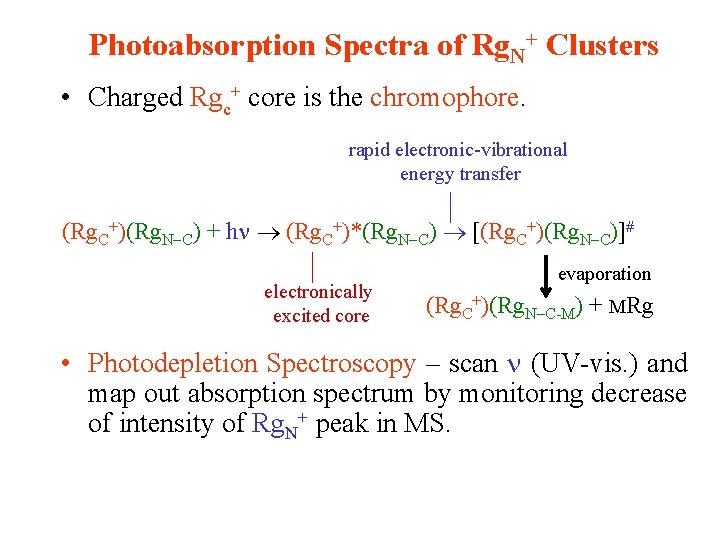 Photoabsorption Spectra of Rg. N+ Clusters • Charged Rgc+ core is the chromophore. rapid