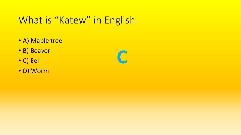 What is “Katew” in English • A) Maple tree • B) Beaver • C)