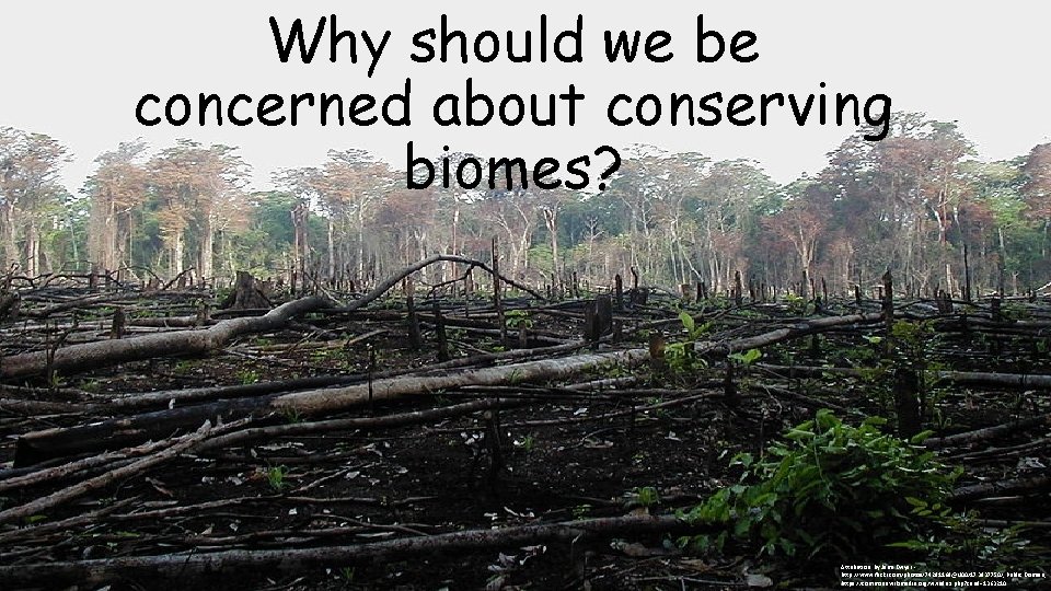 Why should we be concerned about conserving biomes? Attribution: By Jami Dwyer http: //www.