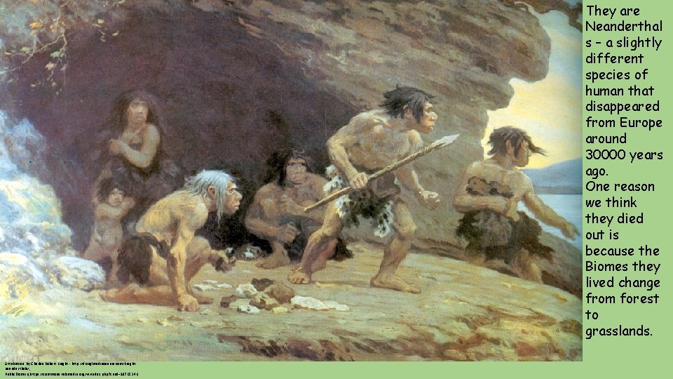 They are Neanderthal s – a slightly different species of human that disappeared from