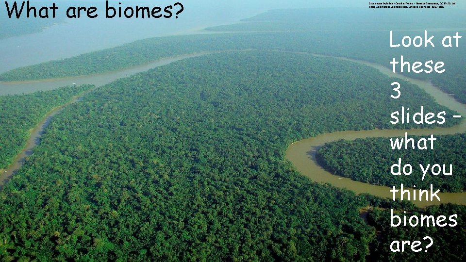 What are biomes? Attribution By lubasi - Catedral Verde - Floresta Amazonica, CC BY-SA